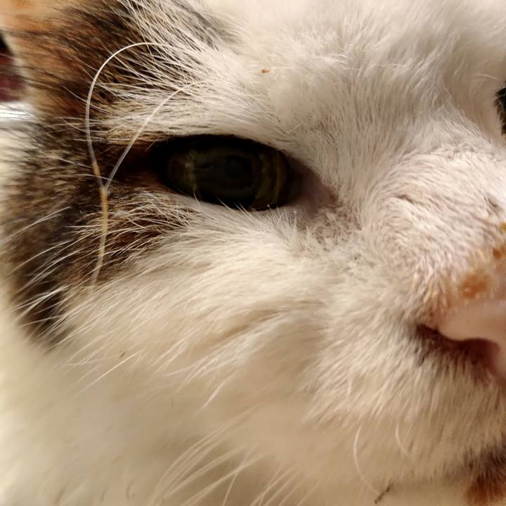 713e7647 2770 482a be11 4ba1d7052b4f 1580597173348