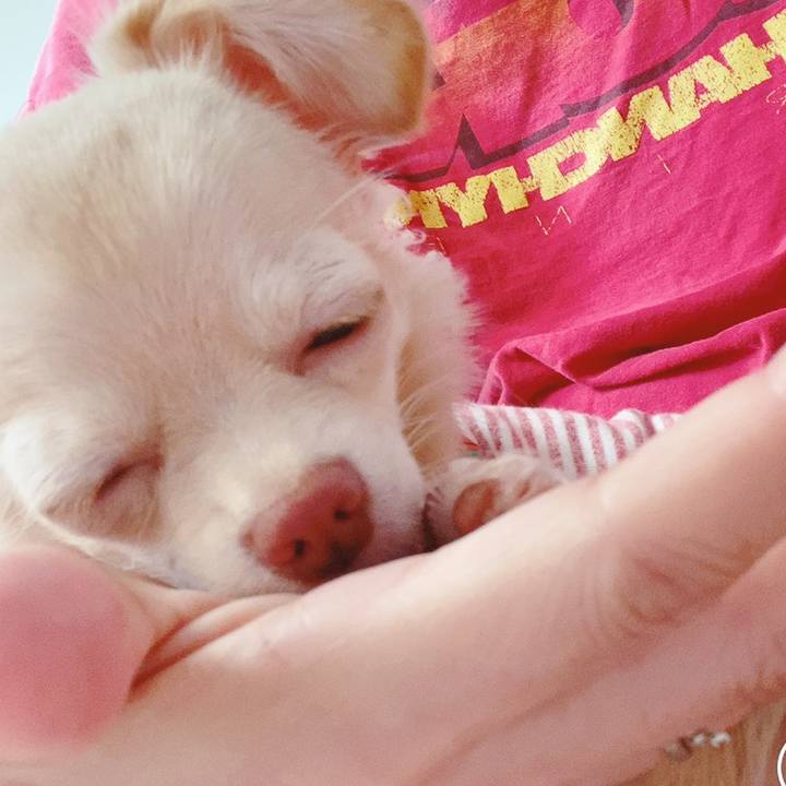 713ea0d4 f64e 41d2 930d d8ea36920bfd 1598776513877