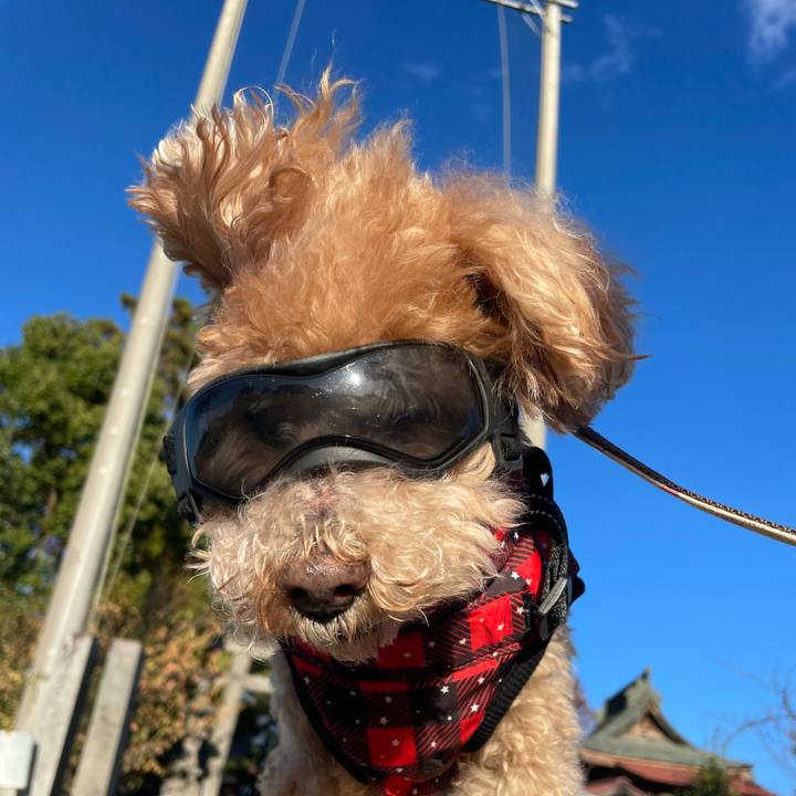 713ed359 7ed0 44db 9c4b ab67a87cfd49 1762810434944