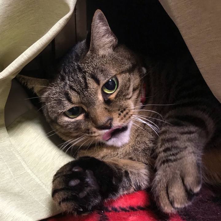 713efb29 bd94 4740 99d1 d00f503cc29e 1636805889979