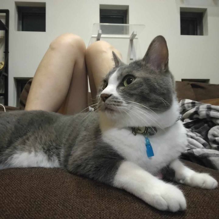 713effc7 b6d8 4a09 b284 19d2093304b9 1714385295129