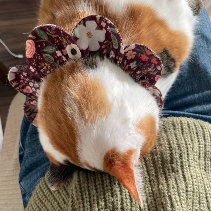 713f0289 b75b 497f 8ca3 5ba62c499cc4 1737784930865