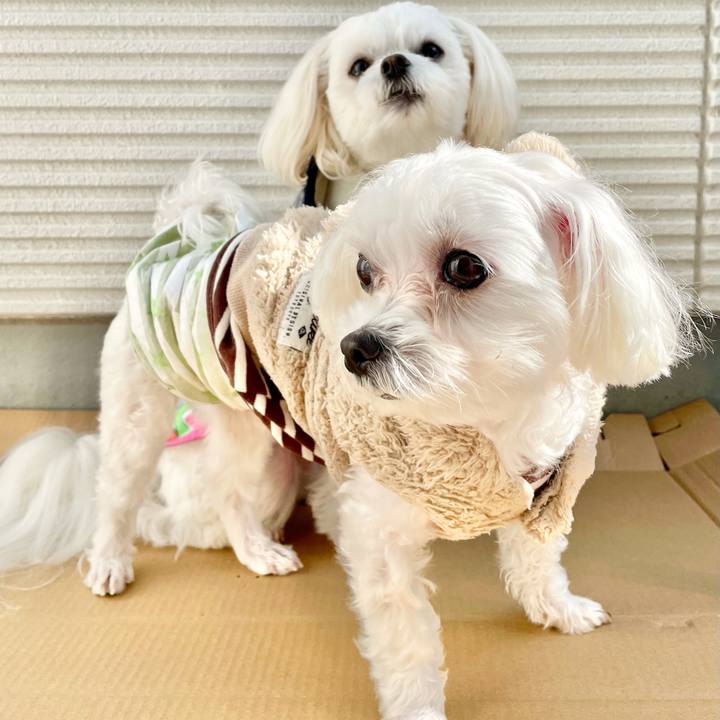 713f09a4 db24 43d8 b1b3 8e07efec95be 1614143753755