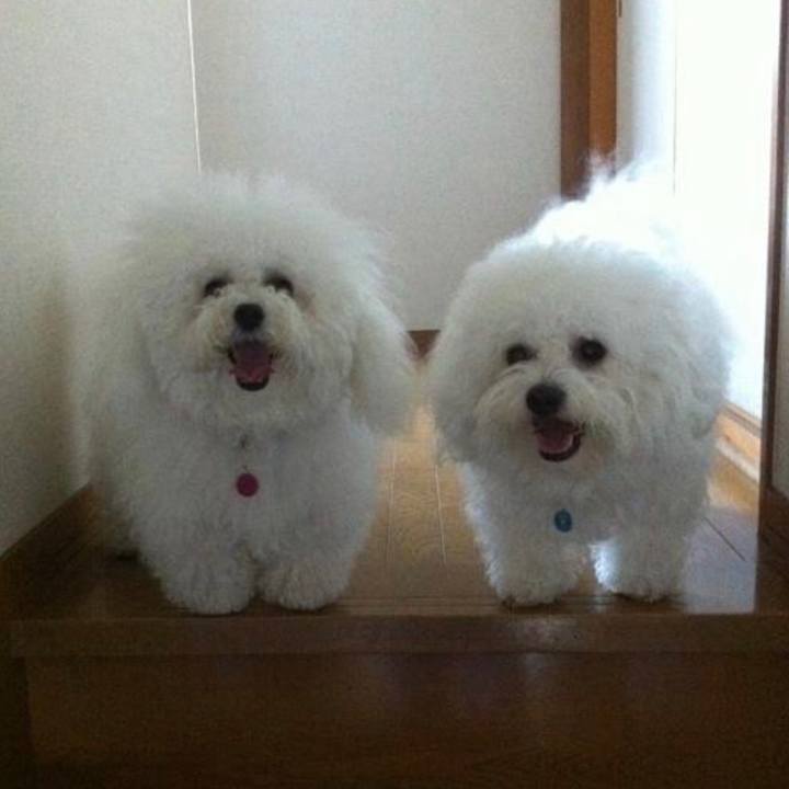 713f5545 c885 4d6e ac2d aa6f21e6cbb7 1664083086724