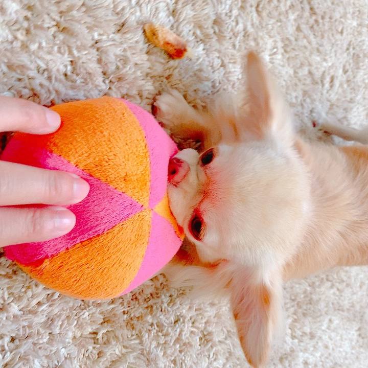 713fd81b eefa 4ce2 9c76 49f0c76ce31f 1626577312079