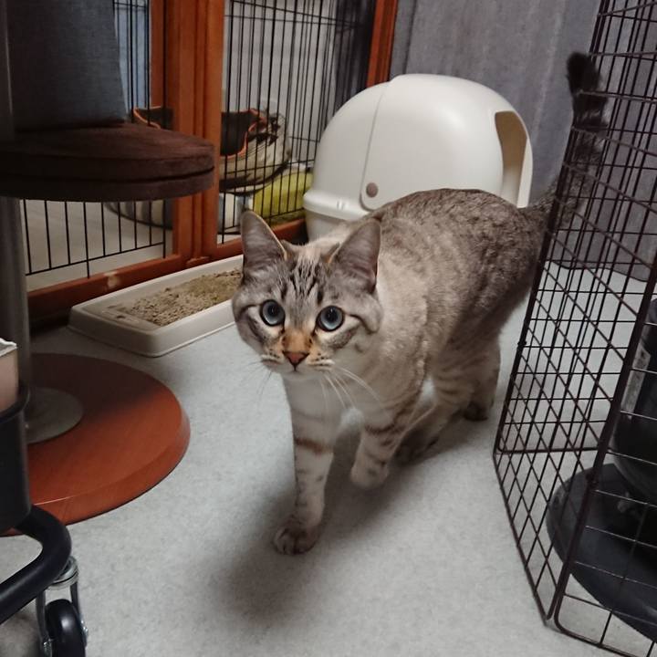 713fdd23 ec71 4d38 a678 1b26fee6a687 1548768316616