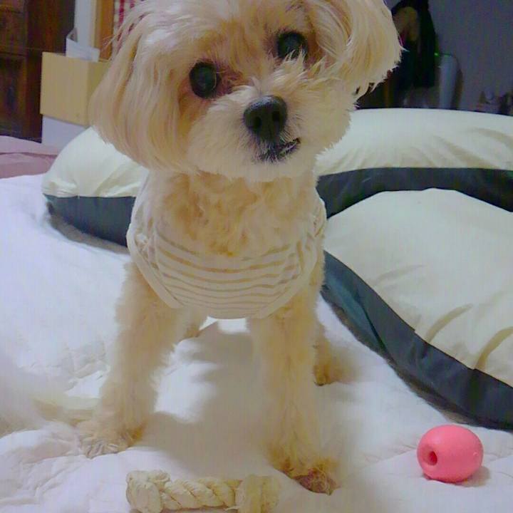 713fe42e 0b76 4736 97bc b797886fdf95 1533645234152