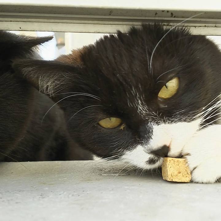 713ff207 bf78 4b4c bac4 956804b341d5 1553061143897