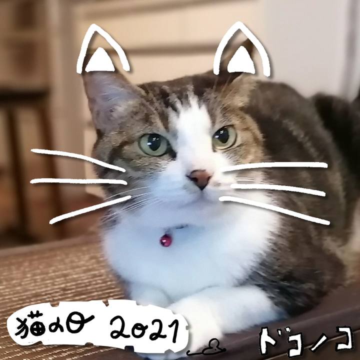 71400a78 530c 4384 9890 a6c6f4f4e573 1613969772392