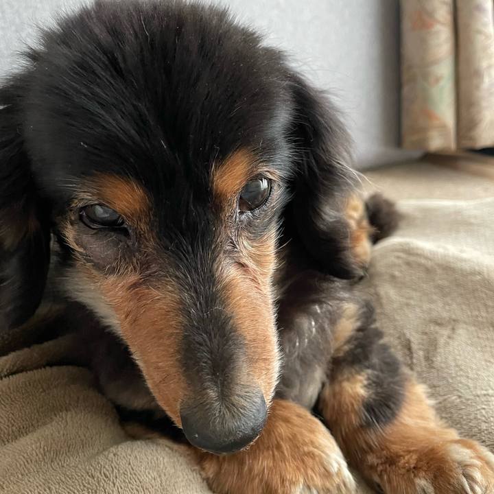 71401692 853d 4990 a5a3 a8b100da1b8b 1679522635164