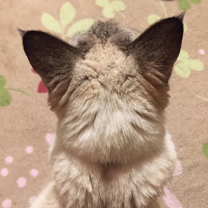 714042a8 d18b 4e43 a5b8 8e6c99d4138a 1577136934572