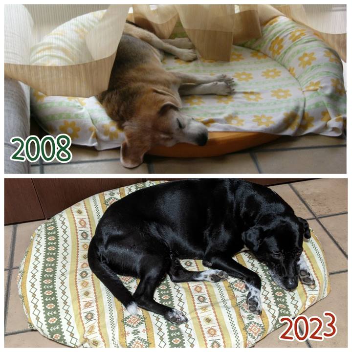 71407fb9 e911 4a7e 8ea9 ce6d41048b5f 1690802007713