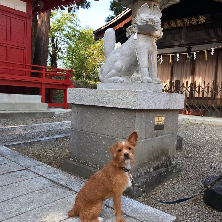 7140bc47 92c8 4c26 a114 5768ecba69c0 1538989885451