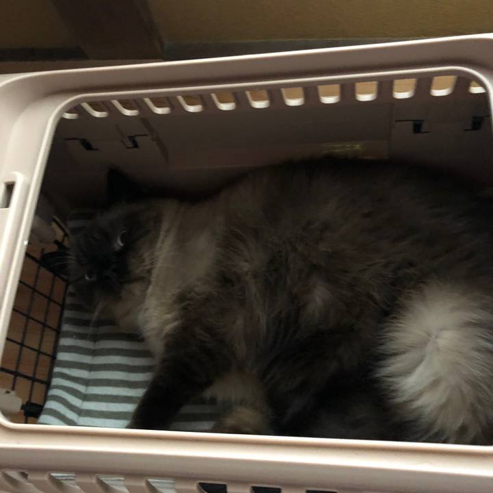 7140c390 8b7f 4ee8 ad8f 2a33e6b09654 1632832155880