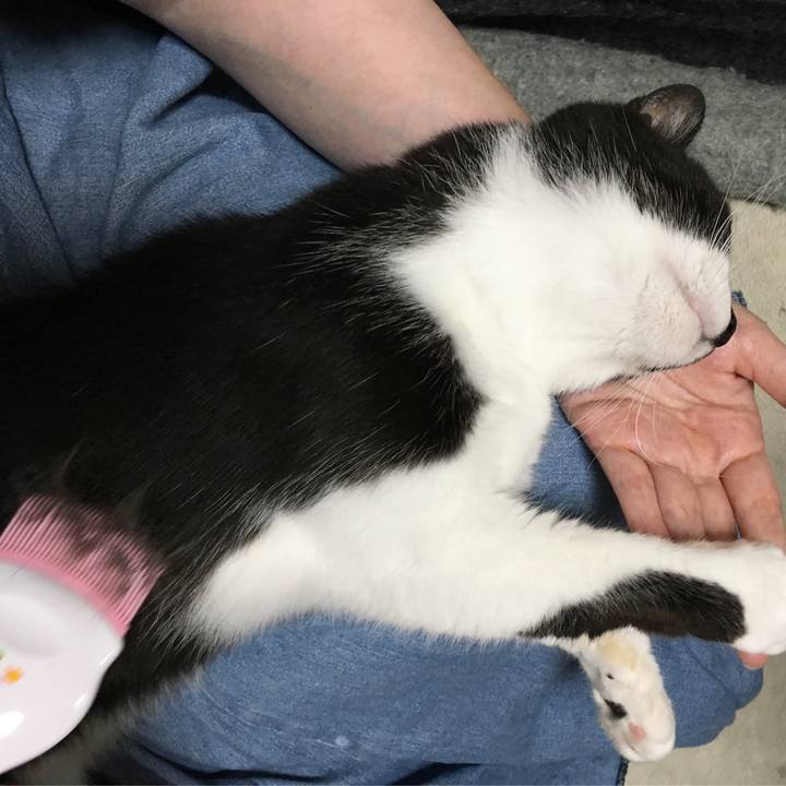 7140e302 8543 40b8 a451 b6d1d43a0eff 1531582624532