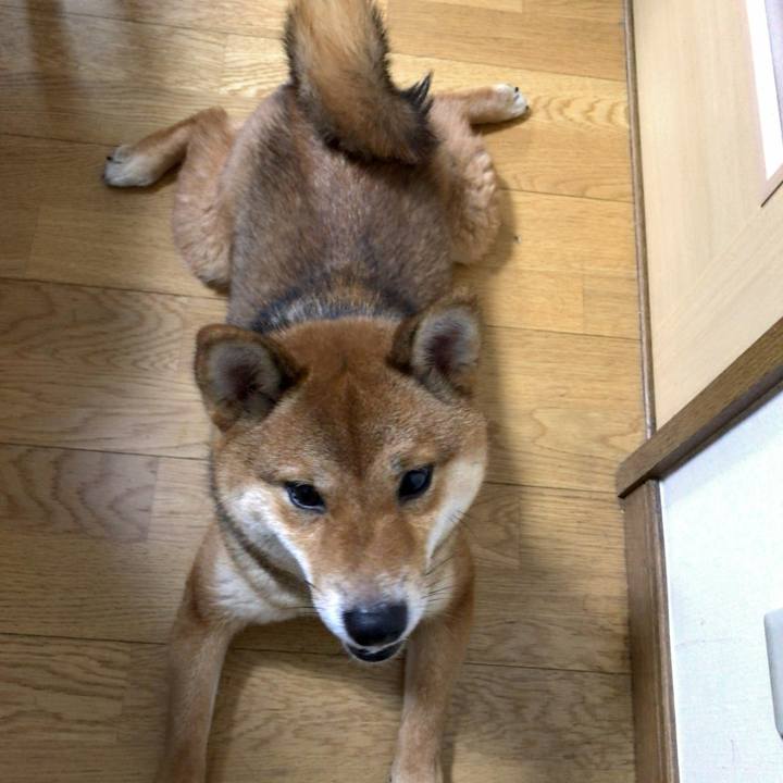 7140f3db d004 462f b244 3674145c43f6 1519638579490