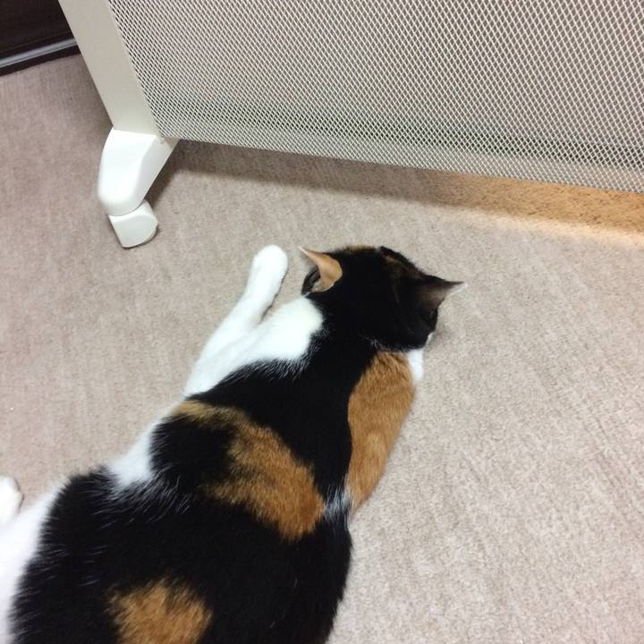 7140fa80 aad2 46f5 93de f5fd28e05552 1583363324699