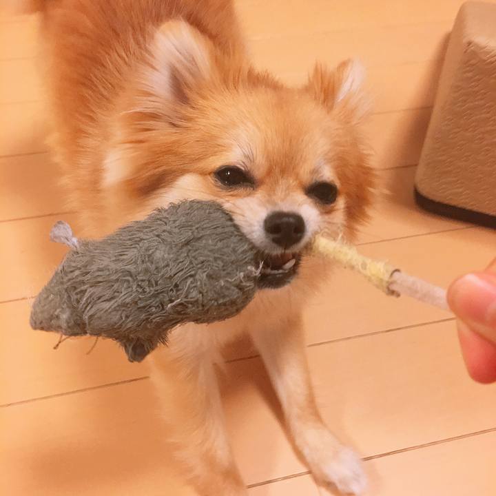 7141372e 236e 4930 b651 49e406f0826c 1523670749392