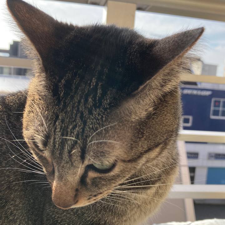 71416282 7122 44b3 862f 85497e3d8c55 1761957438825