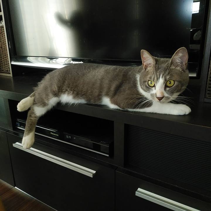 714181fa 8cb0 48e0 8fe9 9dcfd4c136ee 1593155909405