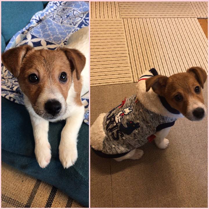 7141a0b3 aaa2 4d6d 9603 fba5e1fbcf26 1546488223951