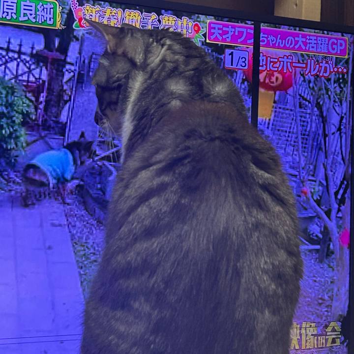 7141a926 0393 4a6f 8446 d0c95bfdfea3 1768009549327