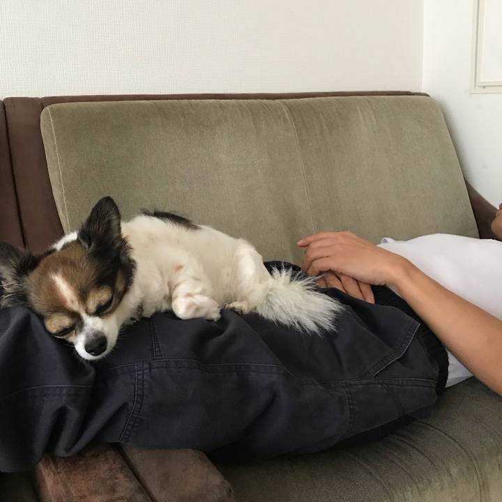 7141c050 8fd4 4942 9e7e ad03d9d1b598 1593477066764