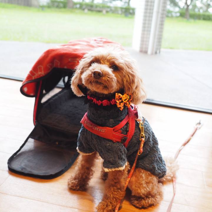 7141d60d e78a 4c64 b350 99919b39ed80 1539337203191