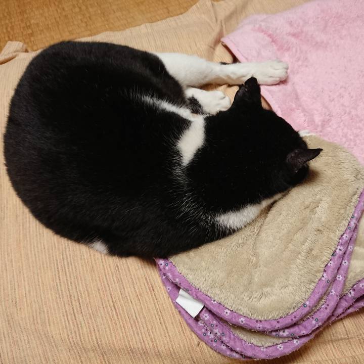 7141e033 a86e 4617 bac6 301682552b06 1603541709673