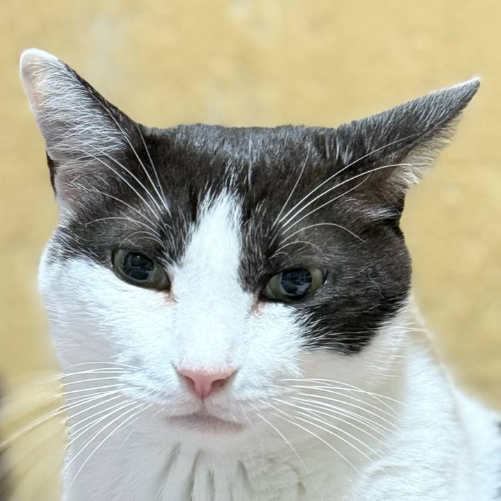 7141eaf6 f857 46c6 bfa9 38dc8806fd76 1757123430998