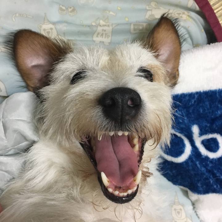 7141f7d7 3f6f 4725 8b7e 8186c4054e59 1532078760107