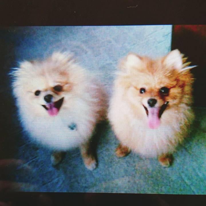 71421044 0a04 441b 82d7 2aa0b2af9c08 1561097409775