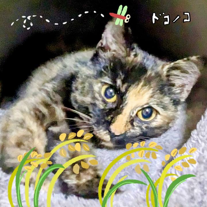 714224b1 3b94 450b b656 747b92ee5987 1761997320101