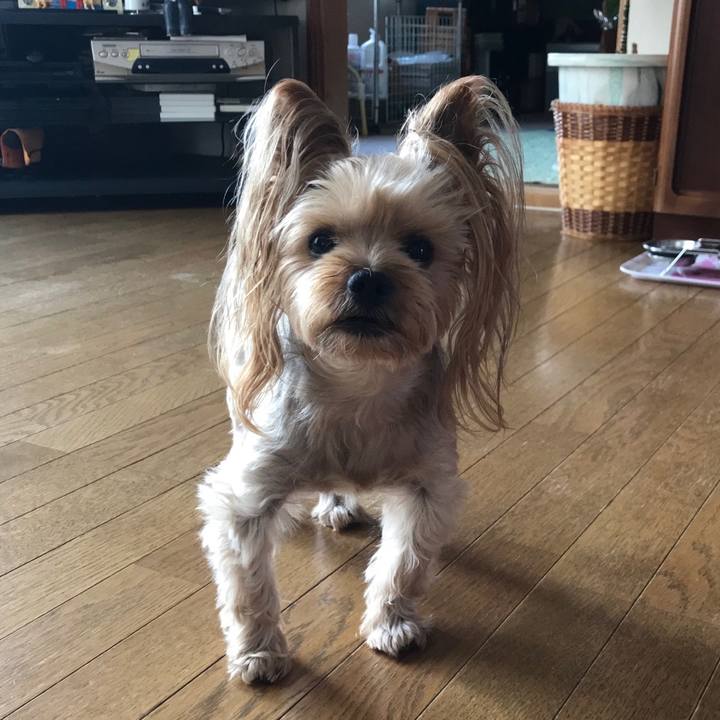 71422b22 e8c5 424b 889b aba852bdfa91 1568545195857