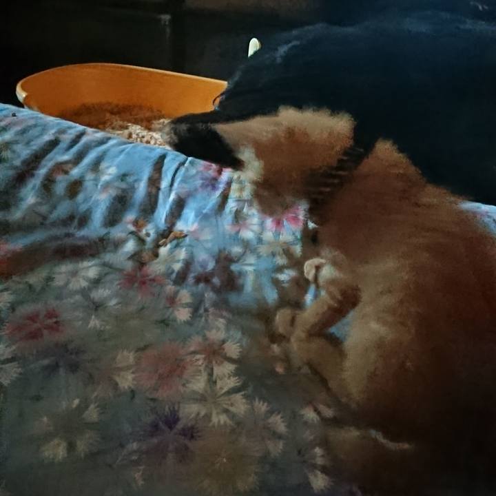 71422b68 fa57 43f6 89dc c1e776475e2e 1627937001034