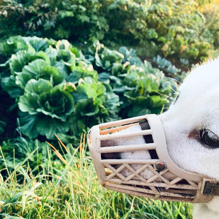 71423228 e598 4be3 a097 b1bed1297d7f 1632345805096