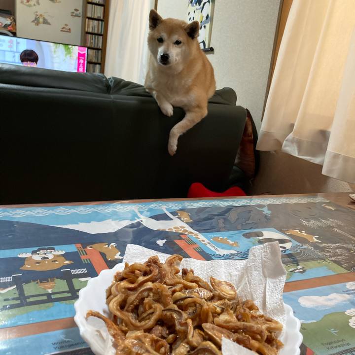 71424397 0573 46bb ad02 6f24a709b57d 1613626850623