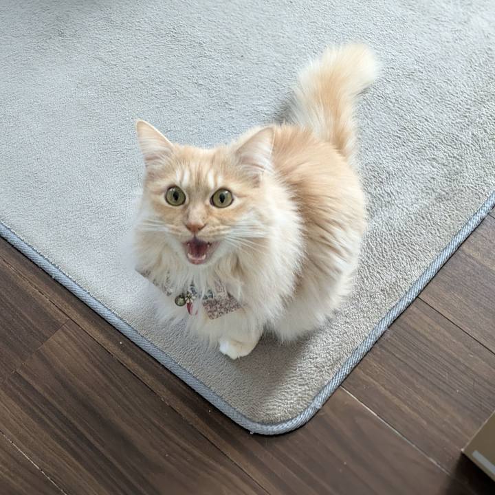 71425fb3 4401 49d0 88e3 f124a12fc9eb 1772682173649