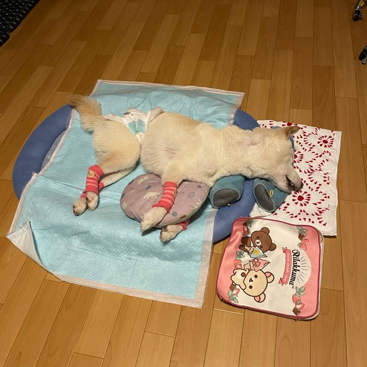 71428c62 19cf 42a5 9cbe 2470b75503e3 1662748055297