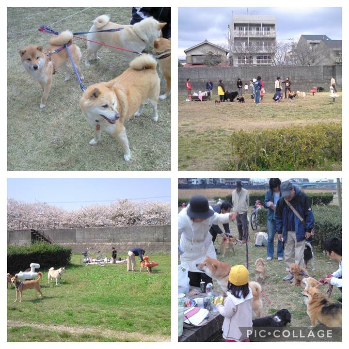 7142f5aa c4da 4e40 9661 1f6b279bca67 1648614623723