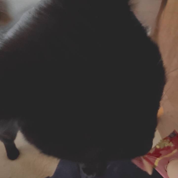 71432047 4b3a 49ee 9baa 04e72ff8a672 1765844654440