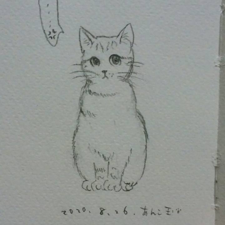 71436a0d 77c3 4792 b92e ad7b9f8494ea 1598446651030