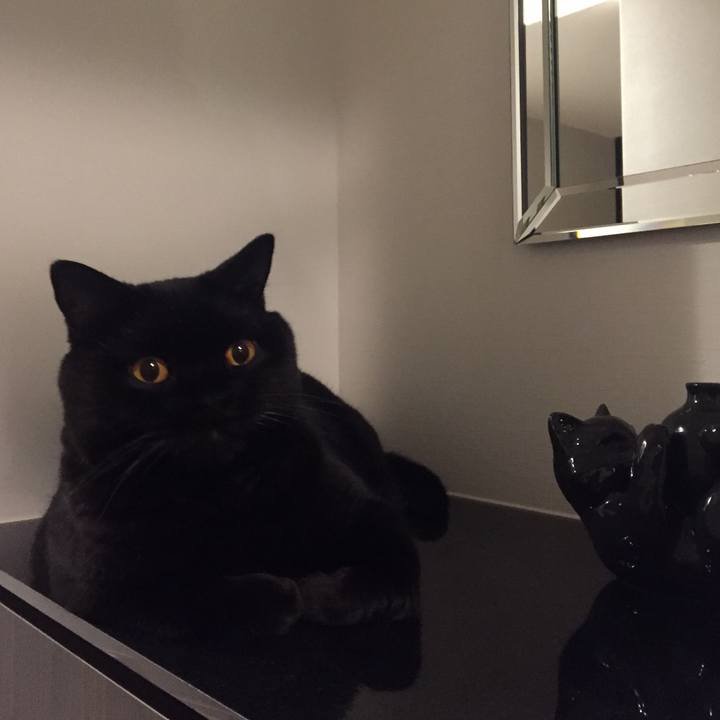 71436ed5 850d 450d a533 83cce10eb947 1568812109147