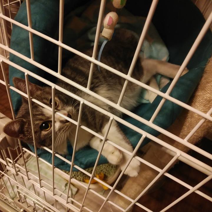 71436f75 f078 4f35 8089 407c7ea05dfe 1571846489371