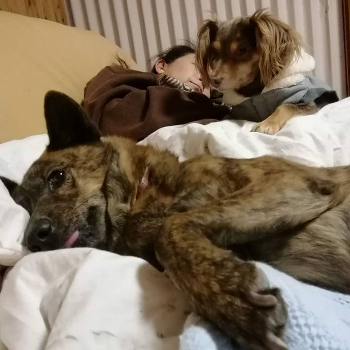 7143773a 0729 4096 aef0 864d106324b4 1547889104980