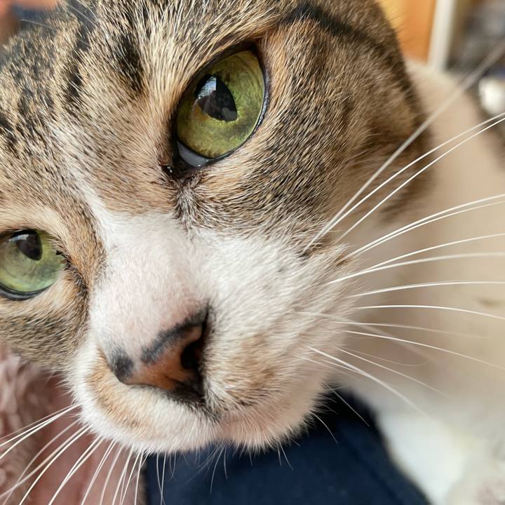 71437bad 8aec 4ba3 b64a aab7f81d4d00 1636855850540