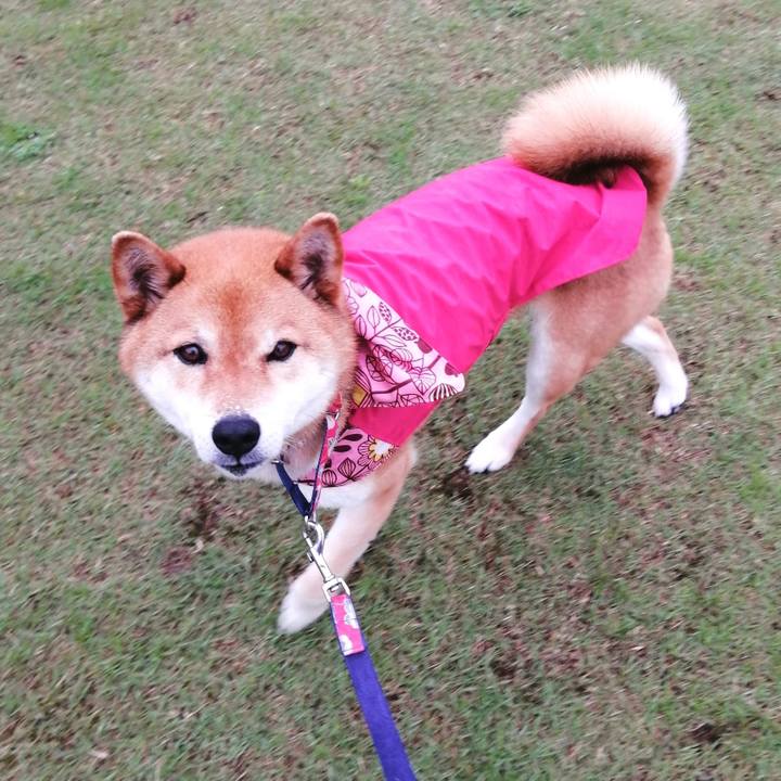 7143873f 16ae 48d2 b822 e35021fcc116 1589799691456