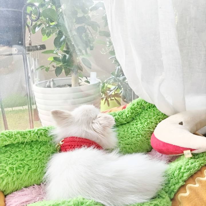 7143946a bea4 4987 bdd7 de05f6ebc81e 1687658024051