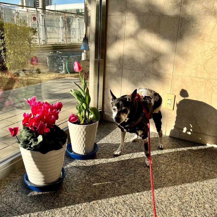 7143de5e 3f01 4daf a2d5 e636eb1be0ab 1644105335493