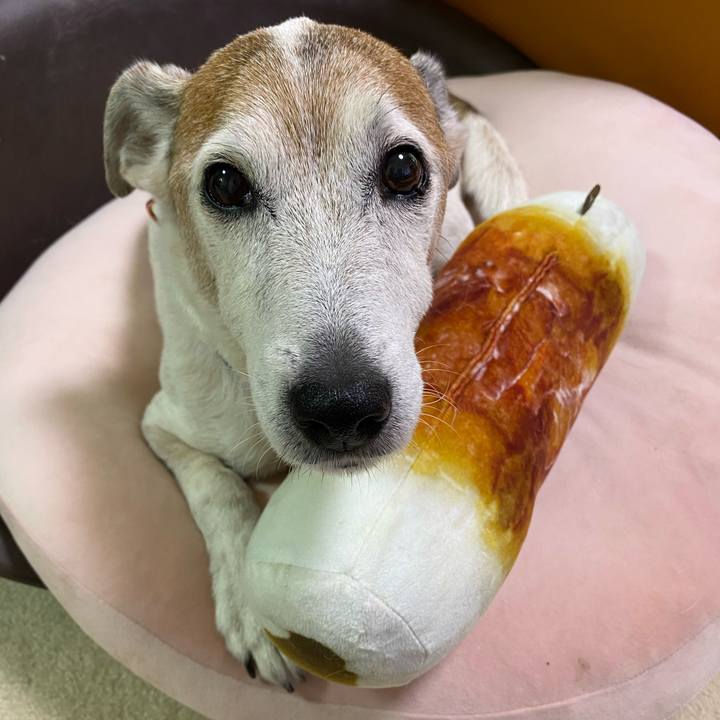 7143debb 9df6 4705 97dc 32d96de30551 1610785670393